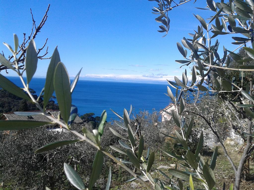 Le Clementine B&B Camogli Exterior foto