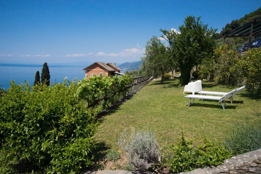Le Clementine B&B Camogli Exterior foto