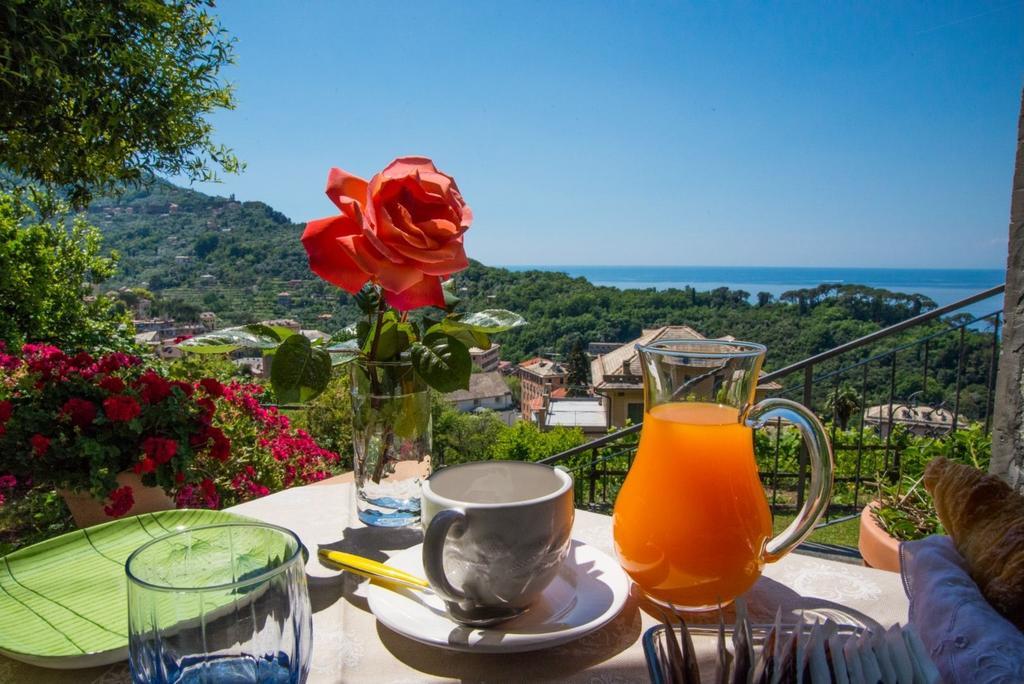 Le Clementine B&B Camogli Exterior foto